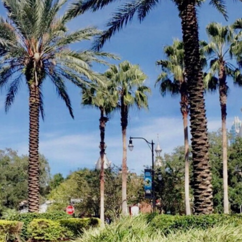 Meet your Posher, Lydia